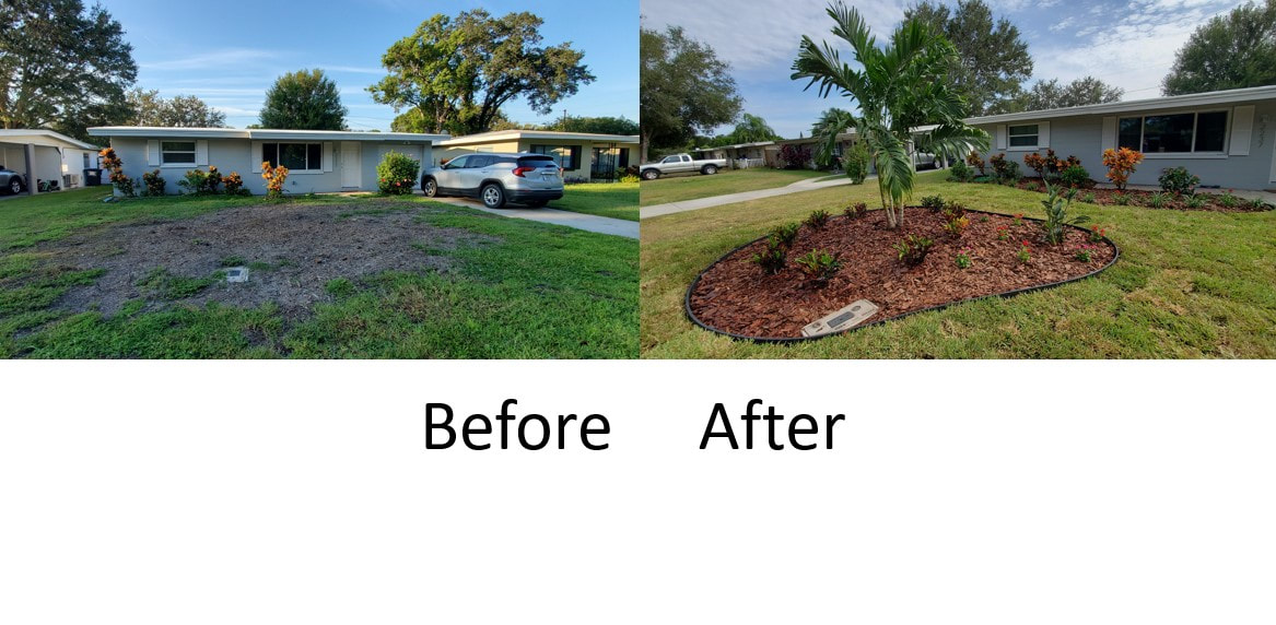 Before and After Landscaping Sod Installation Clearwater Photos