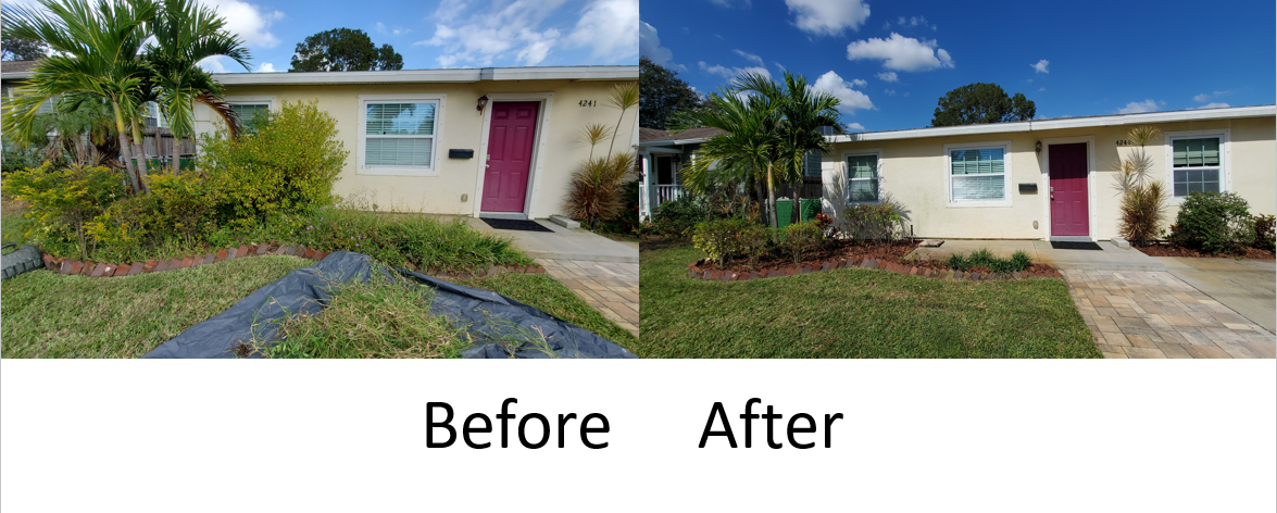 Landscape cleanout & trim in St. Petersburg, Before & After of the front